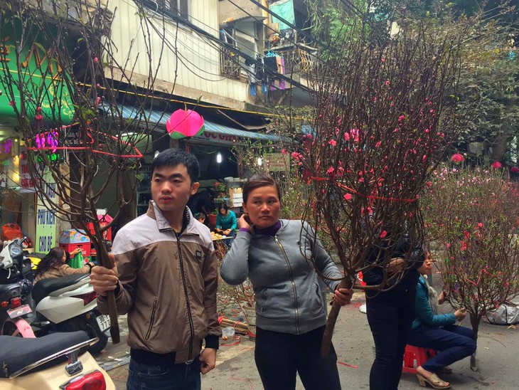 Hang Luoc Flower Market in Hanoi's Old Quarter - ảnh 2